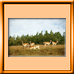 Wildgehege Rotenburg