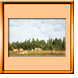 Wildgehege Rotenburg
